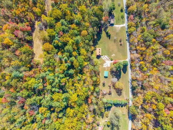 a view of a lush green forest with a house