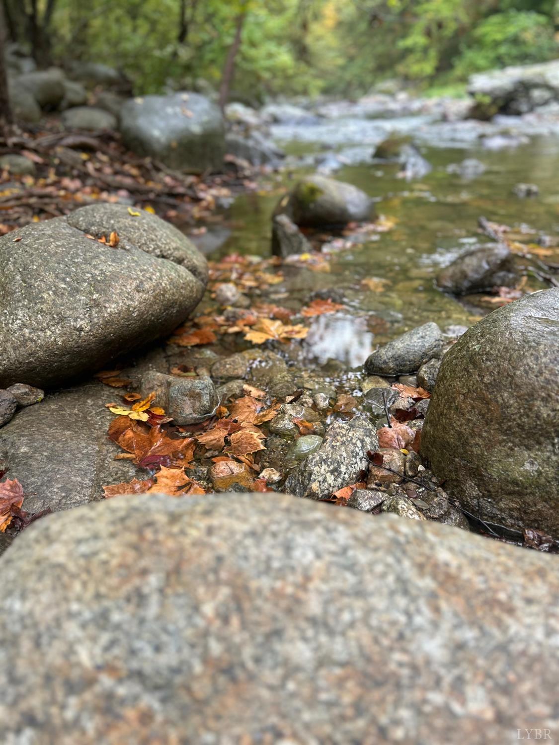 2070 Woodson Road Roseland, VA 22967 - Photo 64 of 76