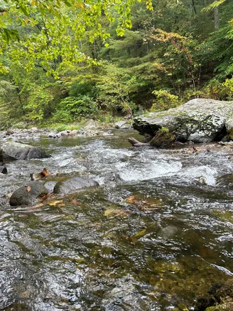 $475,000 | 2070 Woodson Road, Roseland, VA 22967