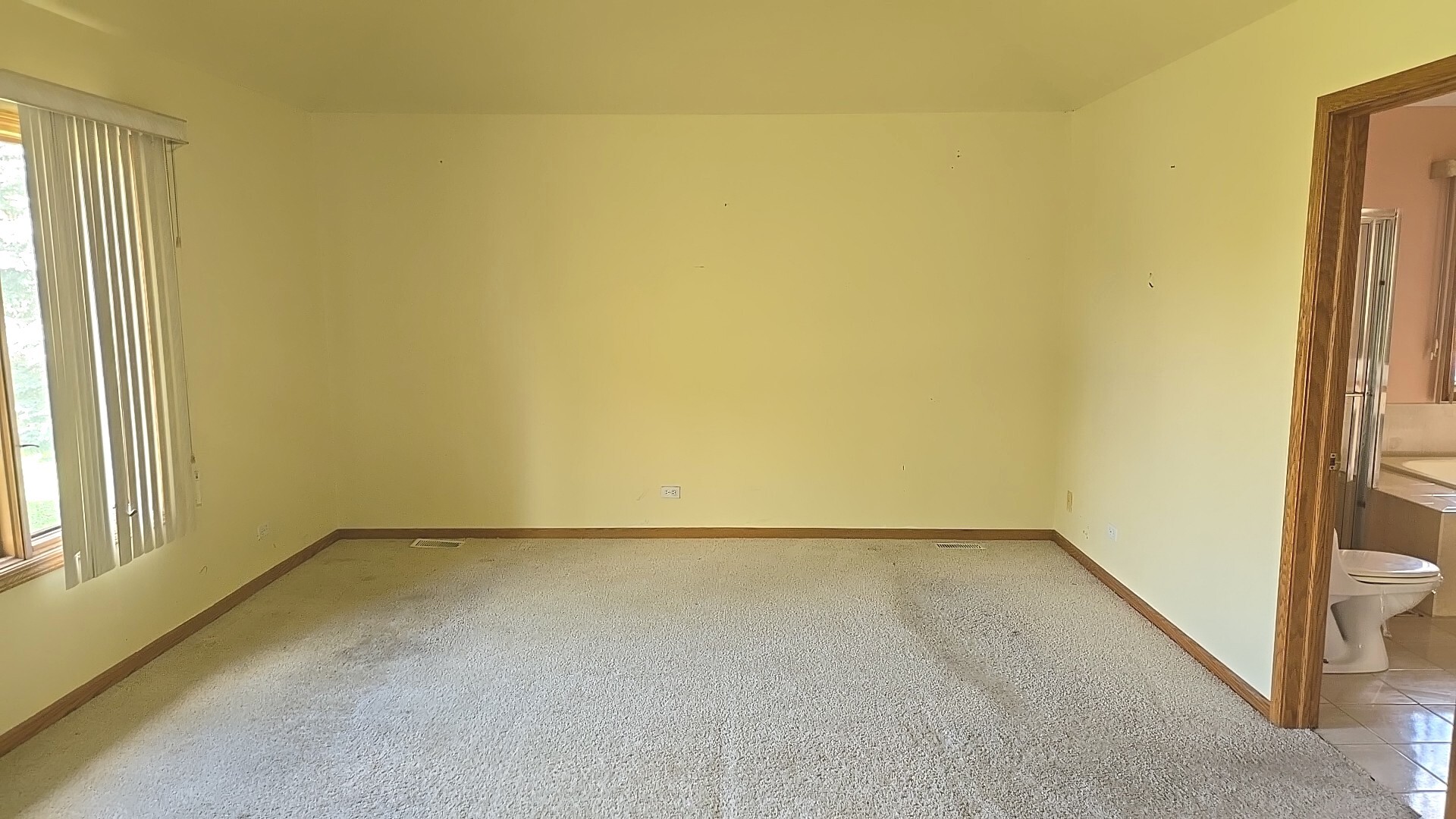 3907 Troon Street Flossmoor, IL 60422 - Photo 14 of 22 an empty room with windows