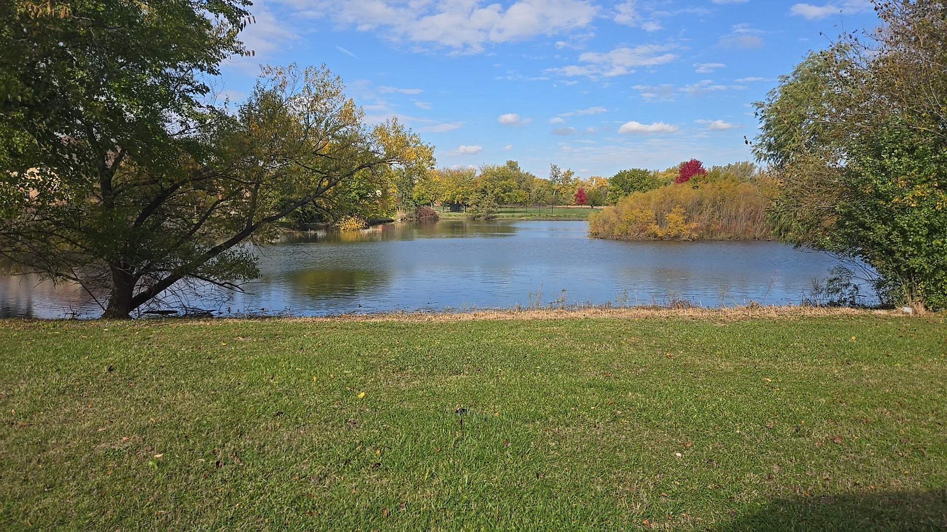 3907 Troon Street Flossmoor, IL 60422 - Photo 5 of 22 a view of a yard