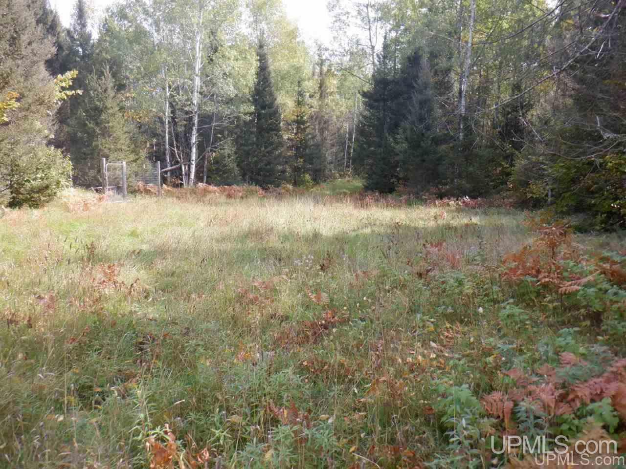 Tbd Bone Lake Road Amasa, MI 49903 - Photo 26 of 29