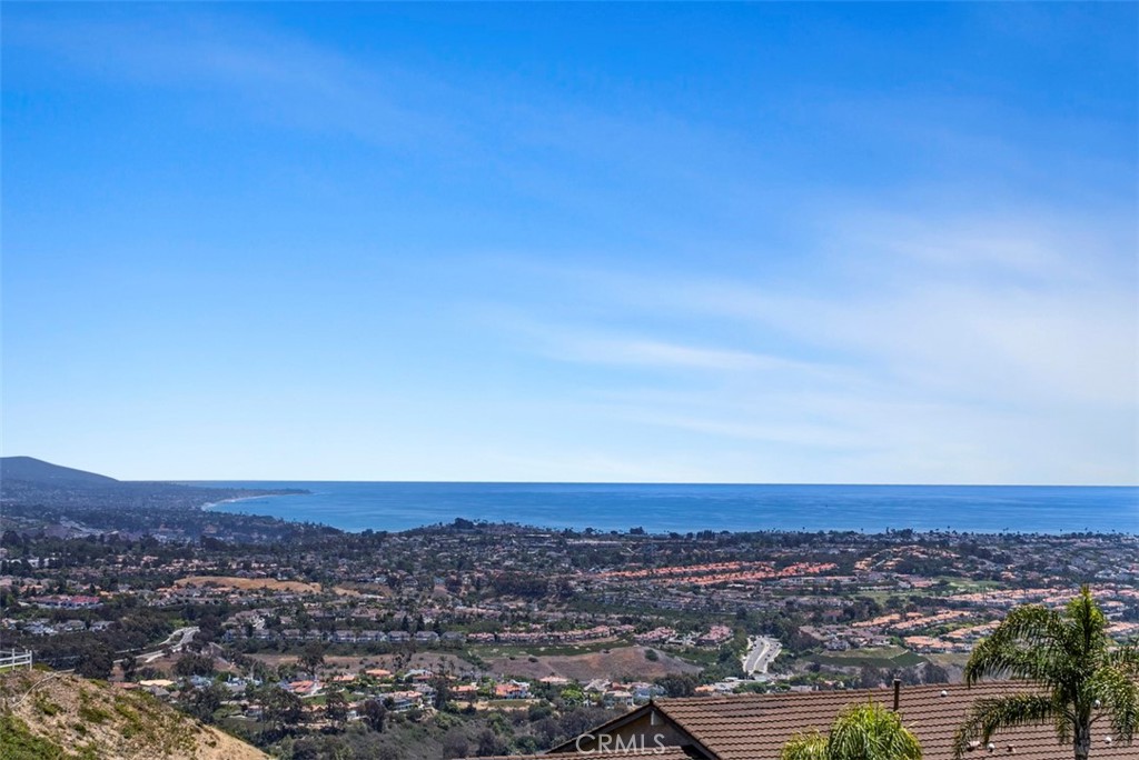 31202 Palma Drive Laguna Niguel, CA 92677 - Photo 34 of 47 an aerial view of residential building and trees around