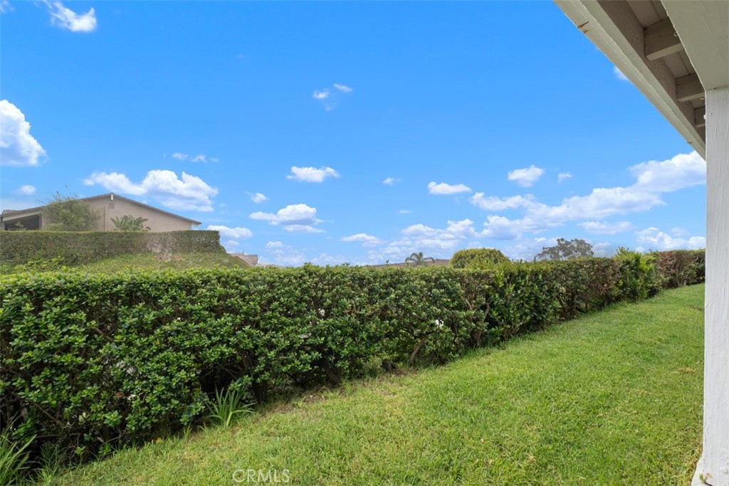 31202 Palma Drive Laguna Niguel, CA 92677 - Photo 38 of 47 a view of a green yard