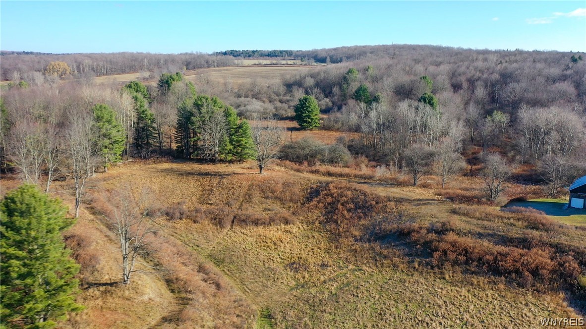 Spaulding Road Springville, NY 14141 - Photo 10 of 11