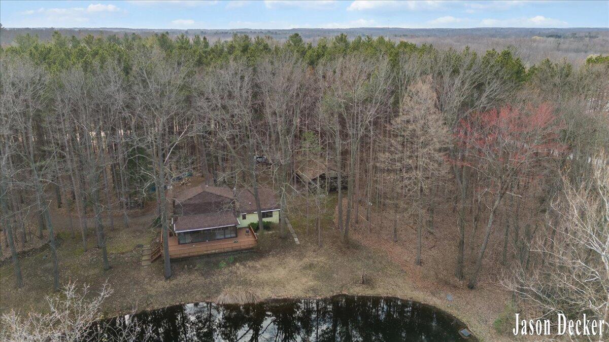 15594 Ritchie Avenue Northeast Cedar Springs, MI 49319 - Photo 27 of 32 10-DRONE 05A