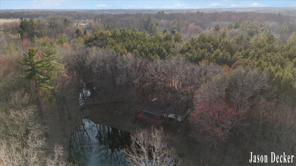 15594 Ritchie Avenue Northeast Cedar Springs, MI 49319 - Photo 28 of 32 12-DRONE 06A
