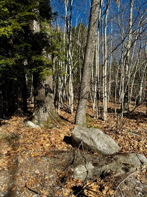 Lot # Sweden Road Bridgton, ME 04009 - Photo 1 of 3 land on sweden2