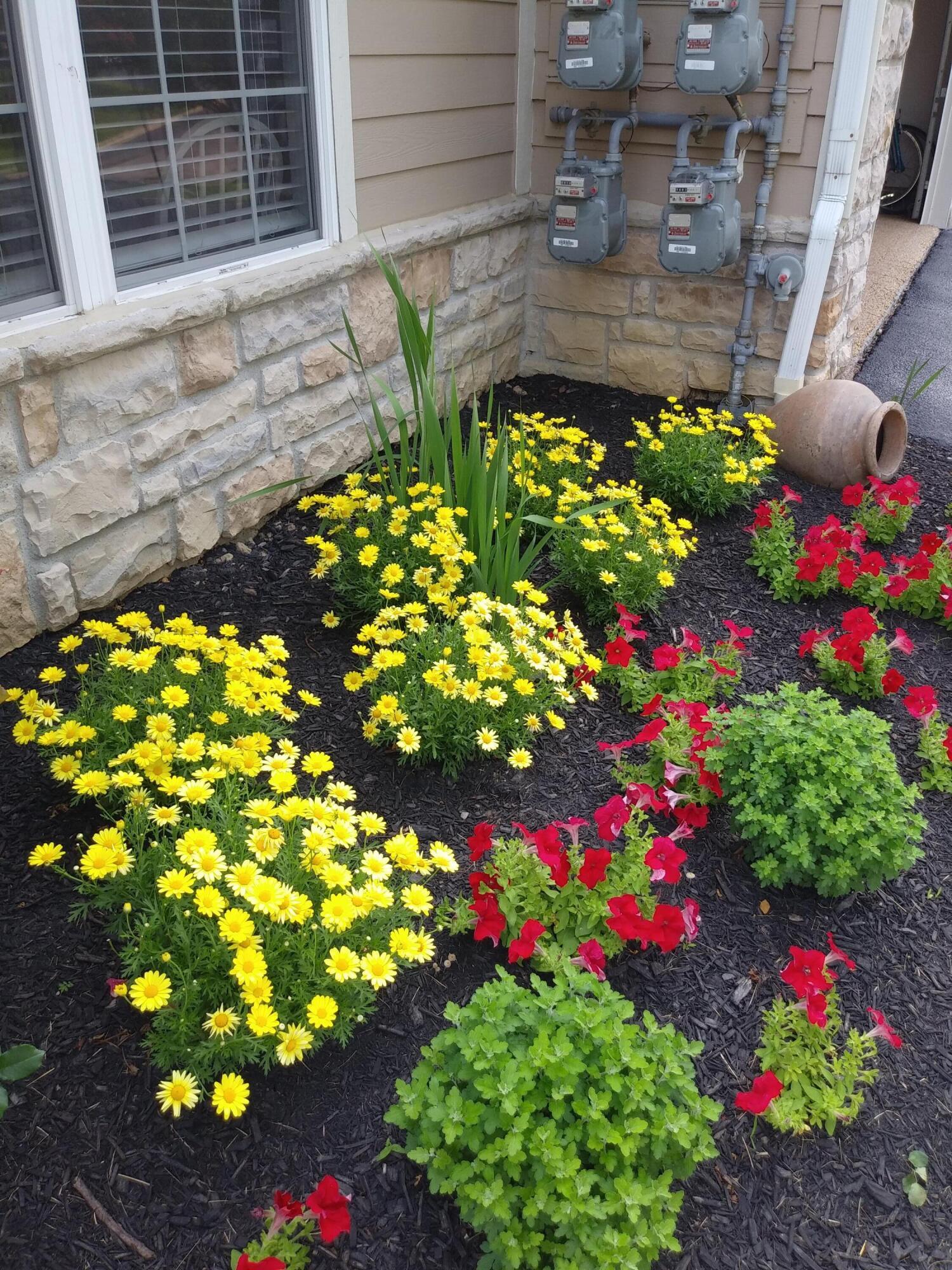 6431 Springwell Place Powell, OH 43065 - Photo 3 of 54 FlowerBed1
