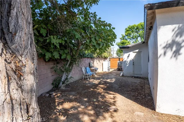 a view of a yard with plants and a large tree