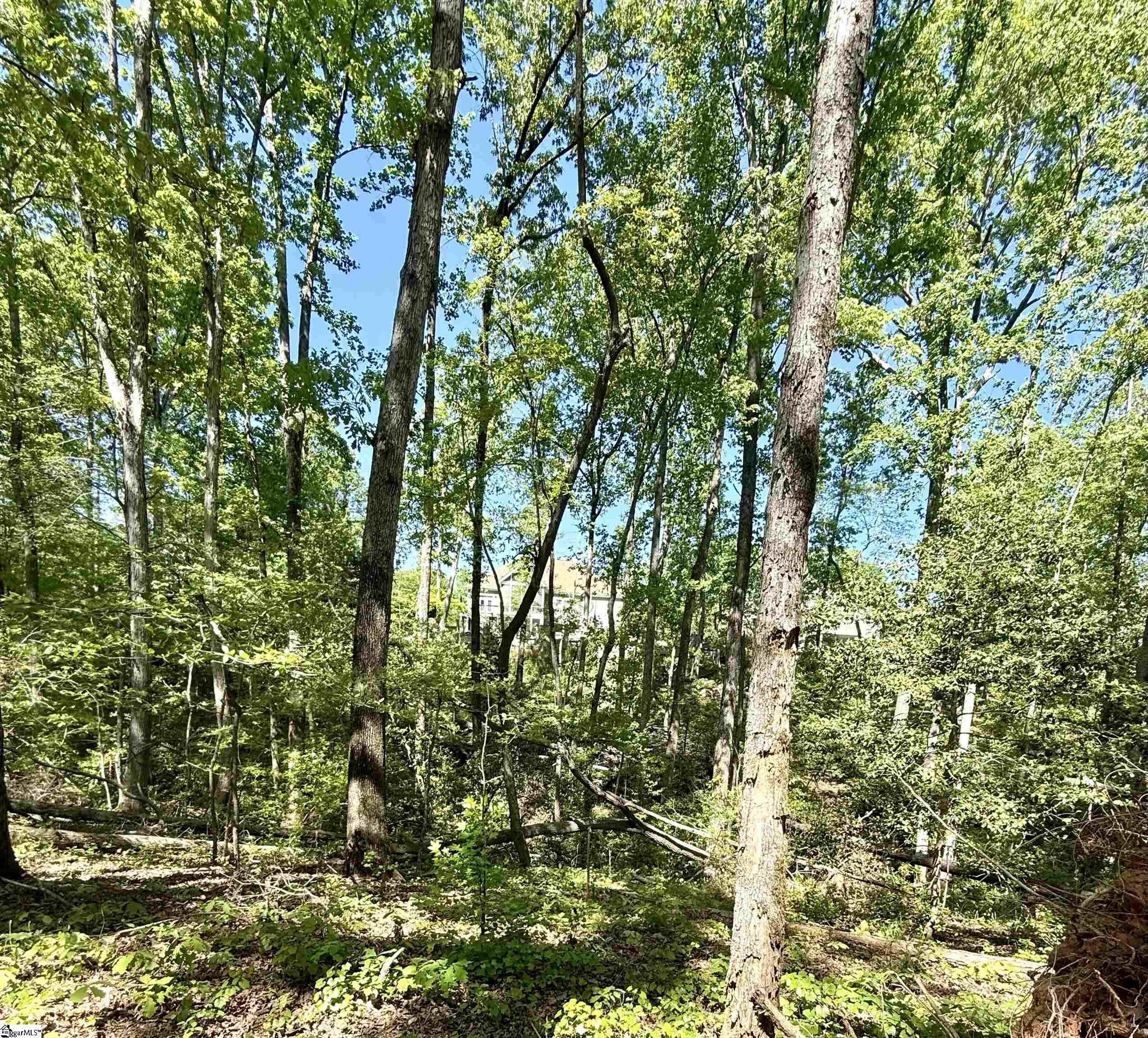 0 Thompson Road Greer, SC 29651 - Photo 27 of 31