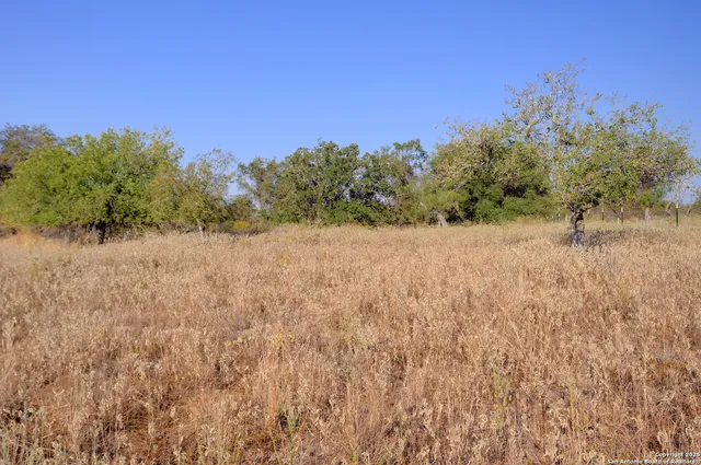 $250,000 | 353 Pr Dax, Pleasanton, TX 78064