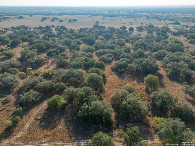 $250,000 | 353 Pr Dax, Pleasanton, TX 78064