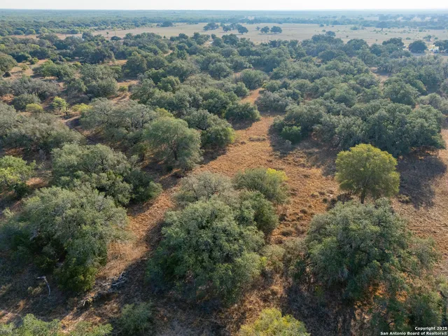 $250,000 | 353 Pr Dax, Pleasanton, TX 78064