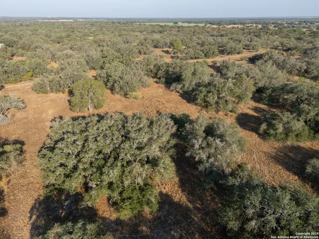 $250,000 | 353 Pr Dax, Pleasanton, TX 78064