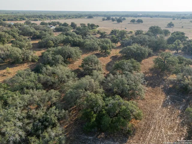 $250,000 | 353 Pr Dax, Pleasanton, TX 78064