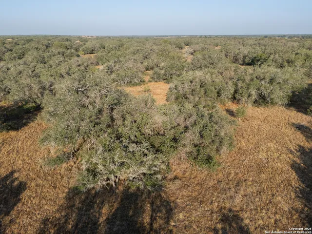 $250,000 | 353 Pr Dax, Pleasanton, TX 78064