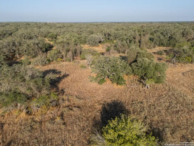 $250,000 | 353 Pr Dax, Pleasanton, TX 78064