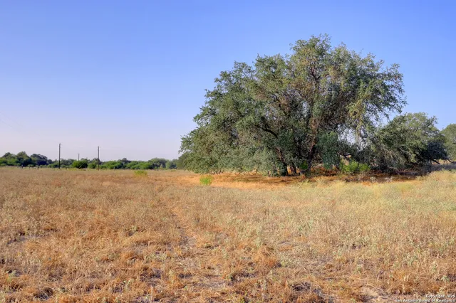 $250,000 | 353 Pr Dax, Pleasanton, TX 78064