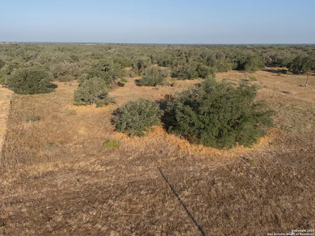 $250,000 | 353 Pr Dax, Pleasanton, TX 78064