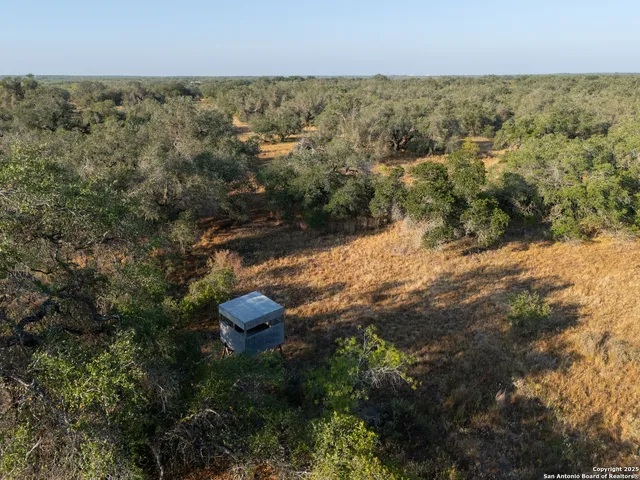 $250,000 | 353 Pr Dax, Pleasanton, TX 78064