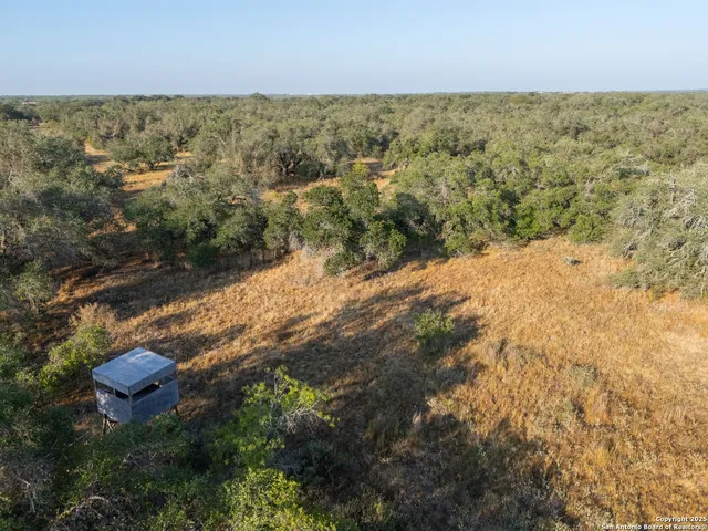 $250,000 | 353 Pr Dax, Pleasanton, TX 78064