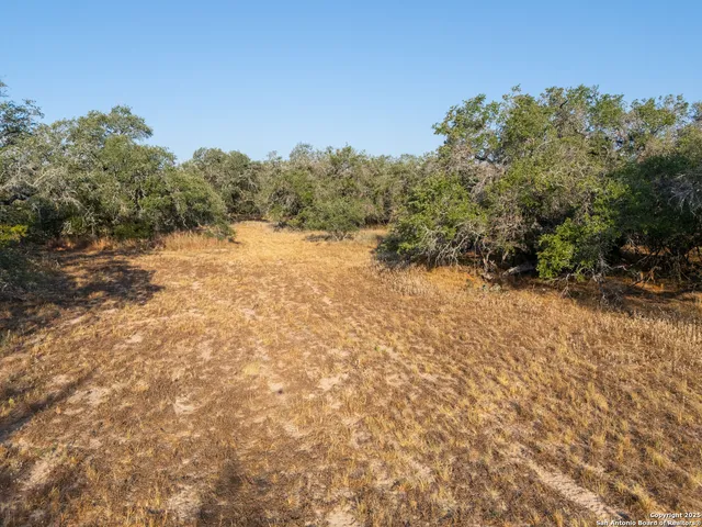 $250,000 | 353 Pr Dax, Pleasanton, TX 78064