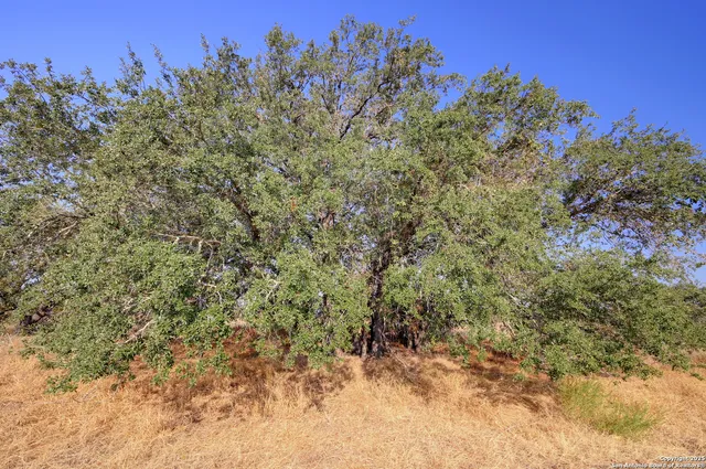 $250,000 | 353 Pr Dax, Pleasanton, TX 78064