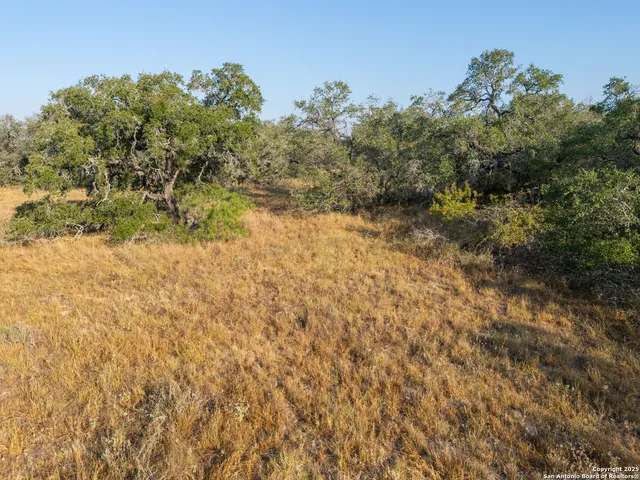 $250,000 | 353 Pr Dax, Pleasanton, TX 78064