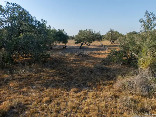 $250,000 | 353 Pr Dax, Pleasanton, TX 78064