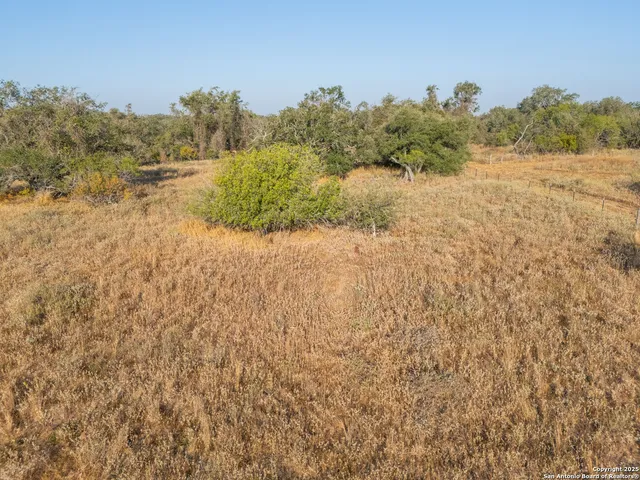 $250,000 | 353 Pr Dax, Pleasanton, TX 78064