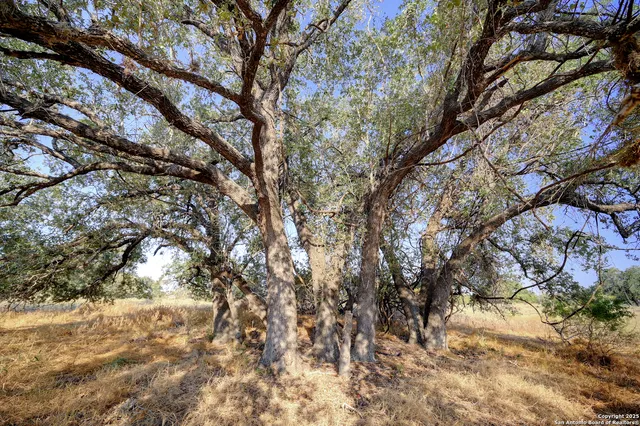 $250,000 | 353 Pr Dax, Pleasanton, TX 78064