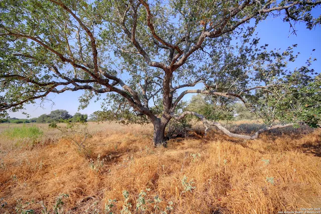 $250,000 | 353 Pr Dax, Pleasanton, TX 78064