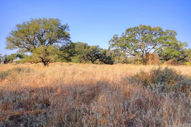 $250,000 | 353 Pr Dax, Pleasanton, TX 78064