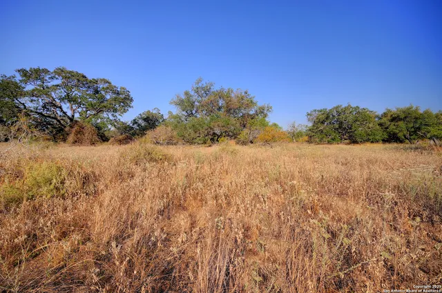 $250,000 | 353 Pr Dax, Pleasanton, TX 78064