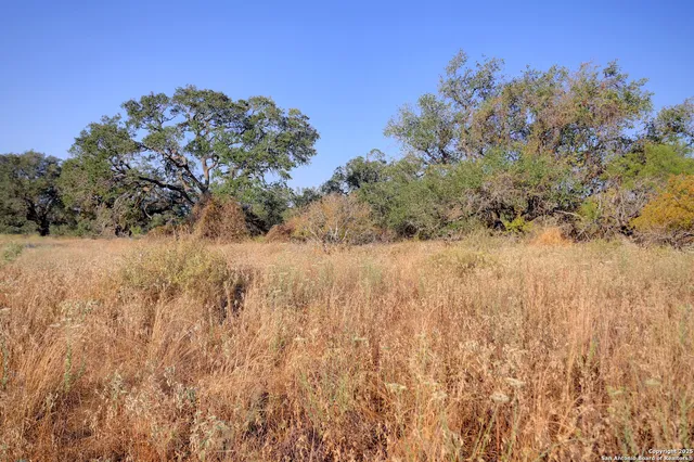 $250,000 | 353 Pr Dax, Pleasanton, TX 78064