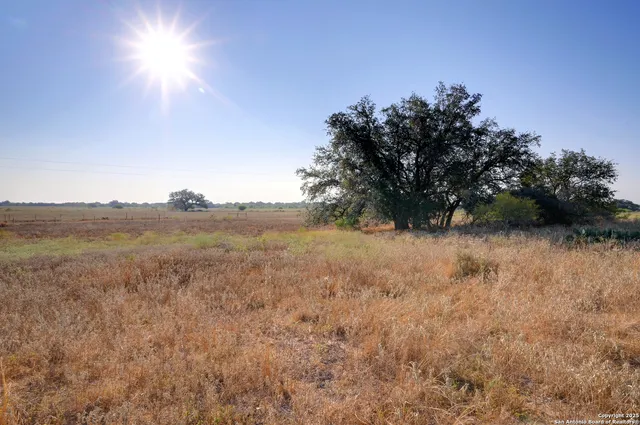 $250,000 | 353 Pr Dax, Pleasanton, TX 78064