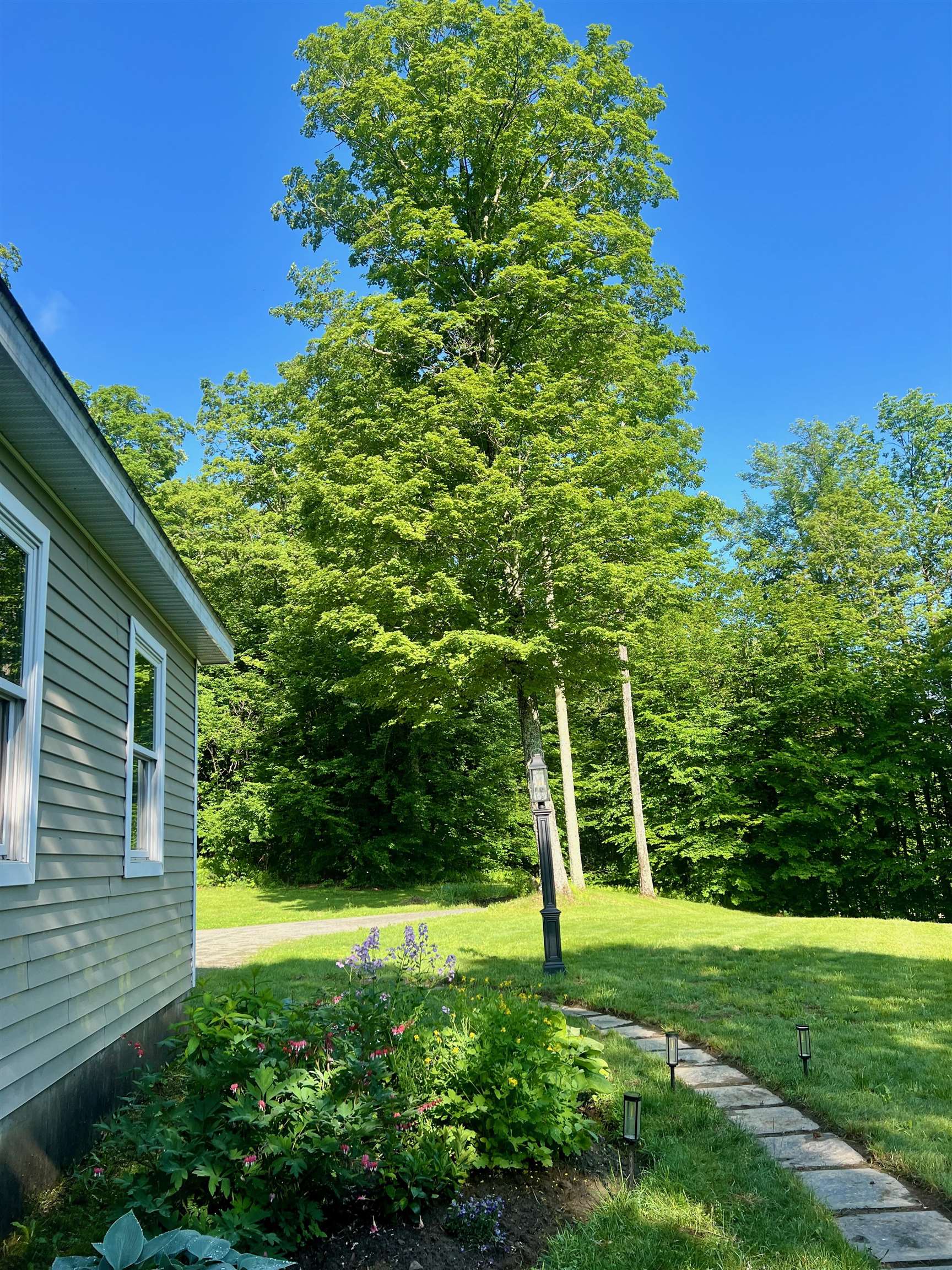358 Cowdrey Path Woodstock, VT 05071 - Photo 36 of 46