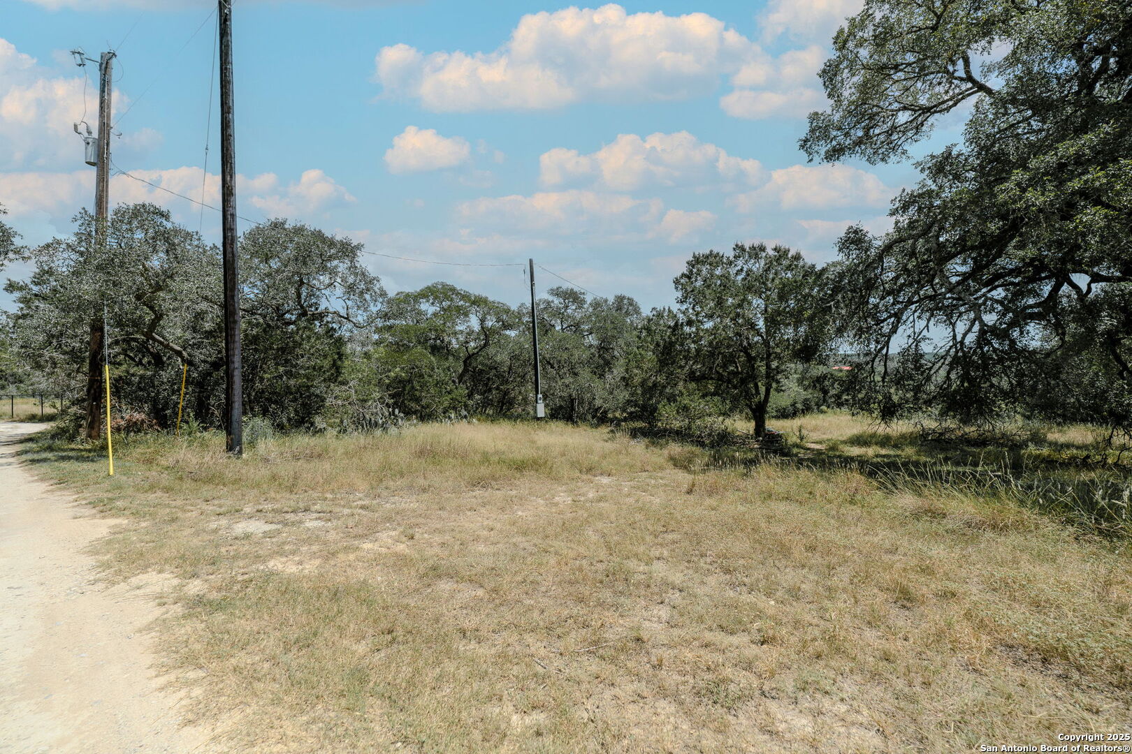 254 Recreation Spring Branch, TX 78133 - Photo 9 of 13 a view of a dry yard