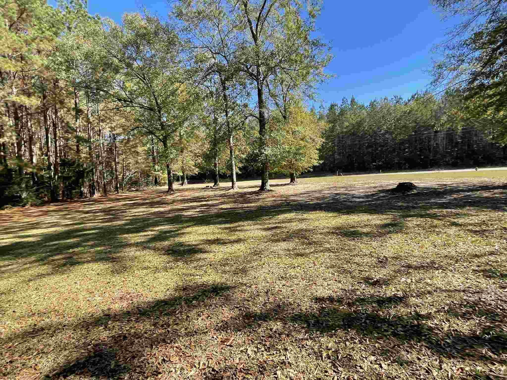 1607 Highway 31 Castleberry, AL 36432 - Photo 4 of 50