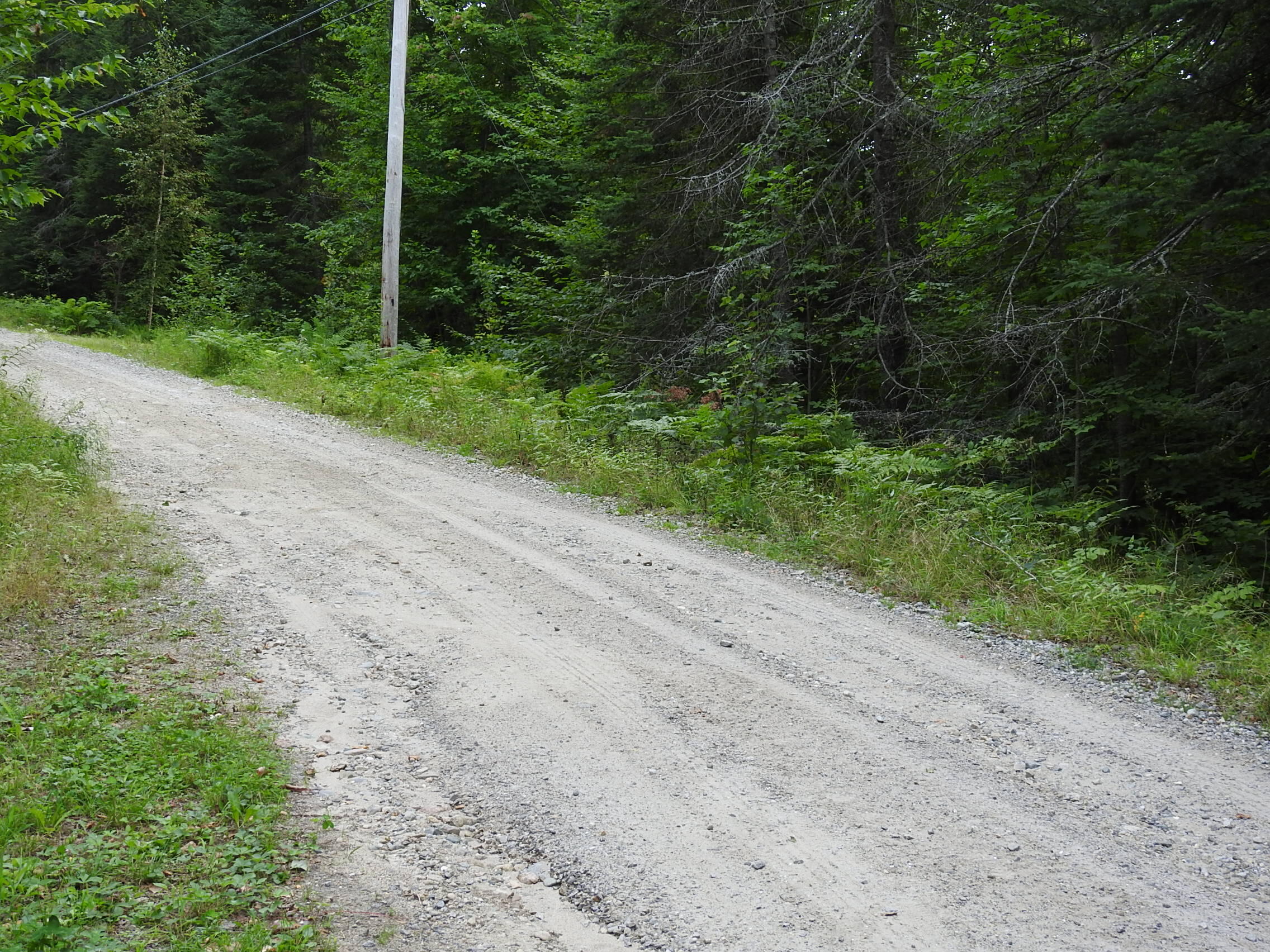 28 Tower Road Roxbury, ME 04275 - Photo 18 of 58 DSCN4731