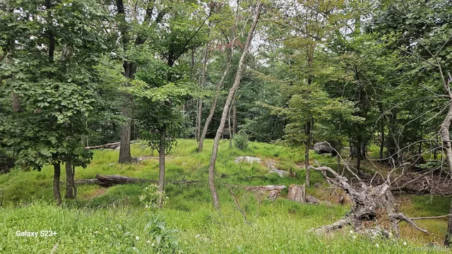 a view of backyard with green space
