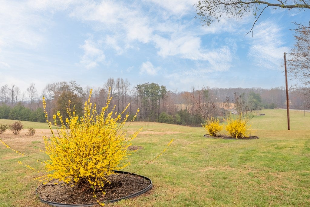 962 Five Forks Road Stuart, VA 24171 - Photo 39 of 52 Gallery Image 39