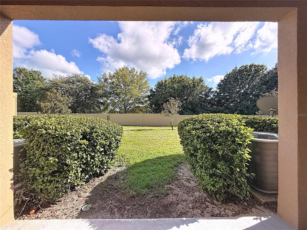 9873 Trumpet Vine Loop Trinity, FL 34655 - Photo 36 of 40 a view of a yard with an ocean view