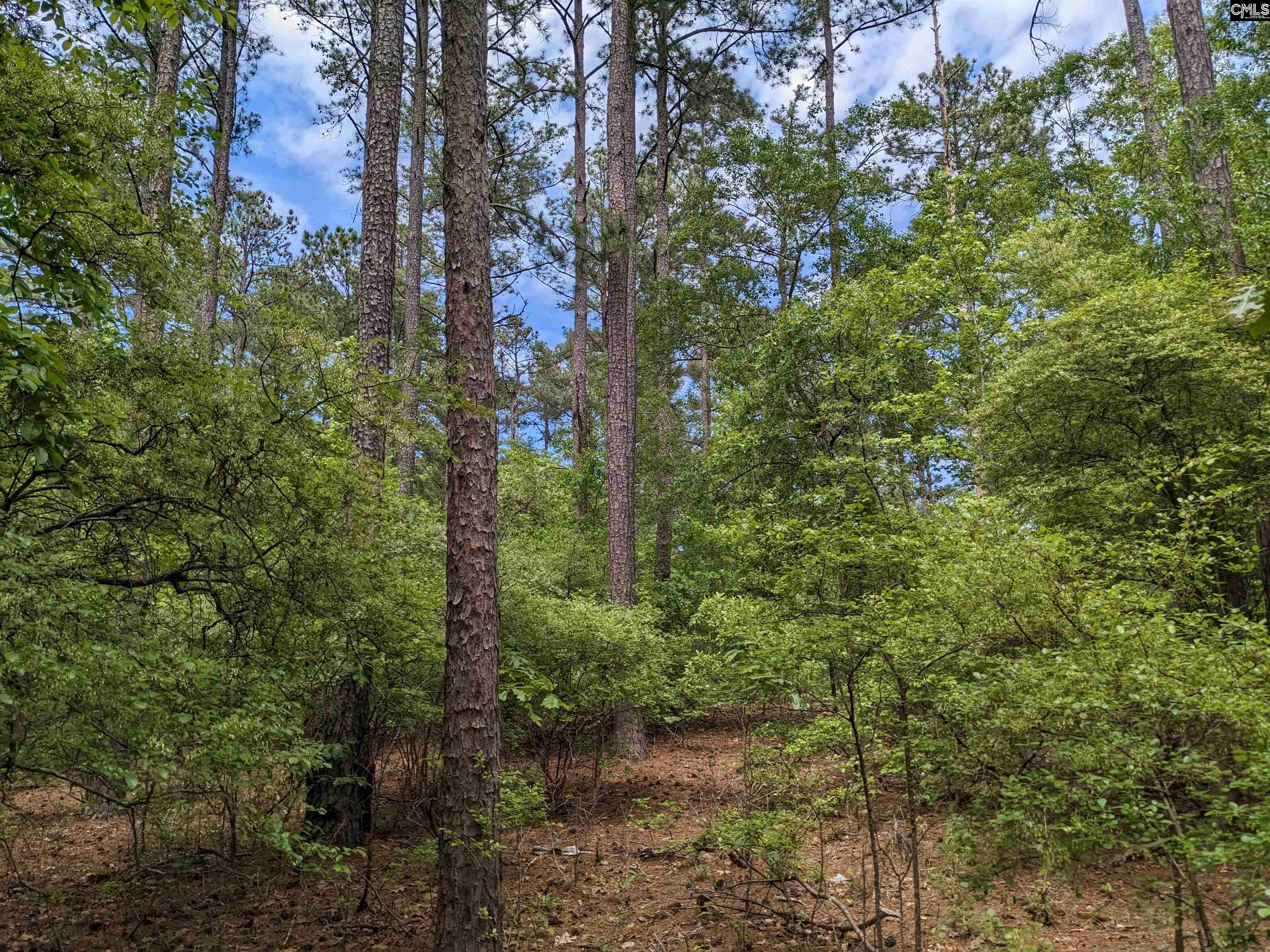 Syrup Mill Road Ridgeway, SC 29130 - Photo 3 of 33