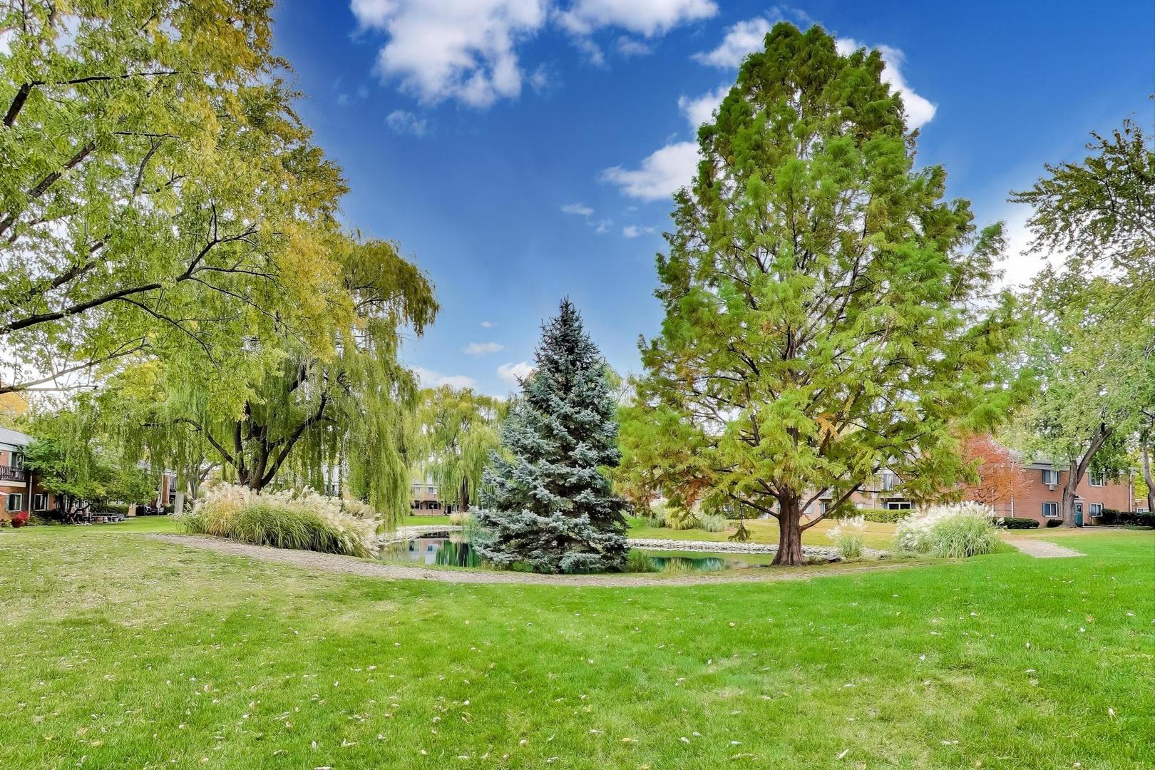 2303 South Goebbert Road, Unit A109 Arlington Heights, IL 60005 - Photo 30 of 40 Gallery Image 30
