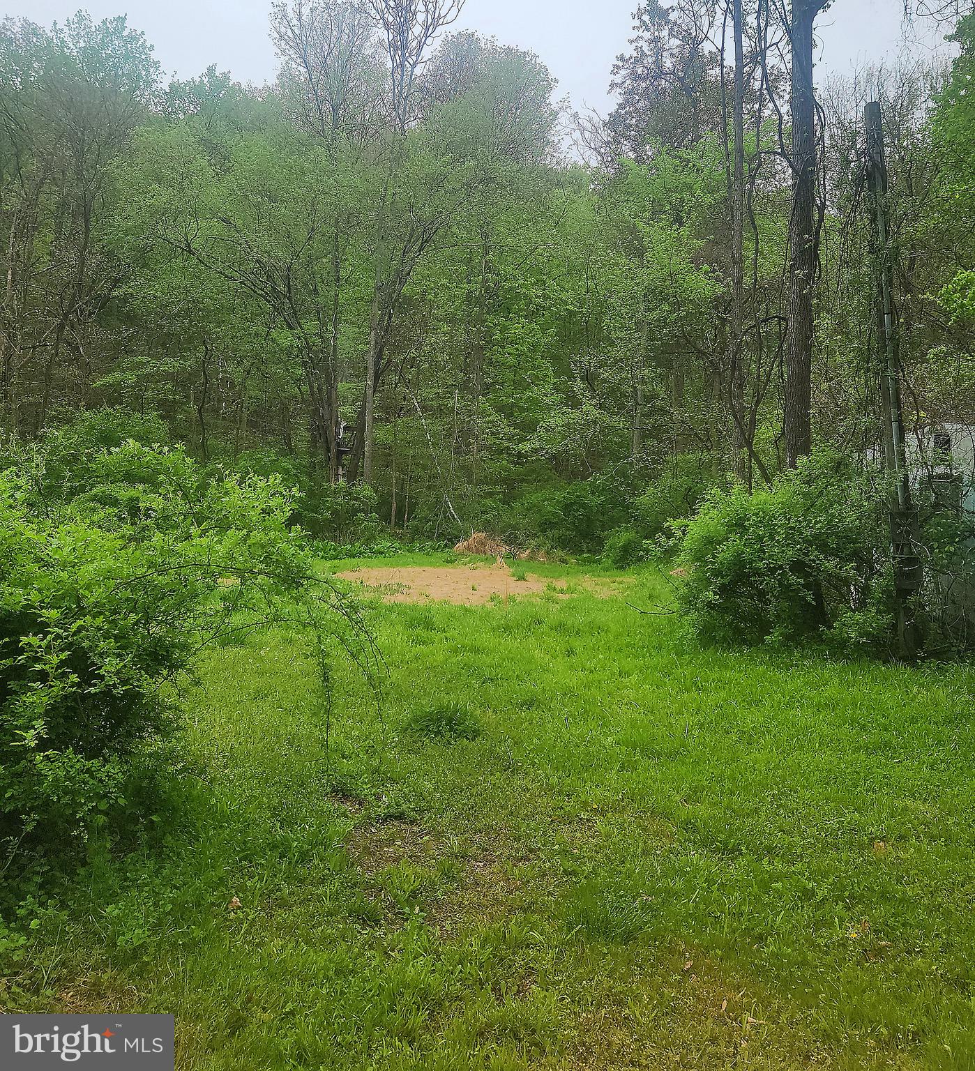 5703 Tobery Road Frederick, MD 21704 - Photo 31 of 36