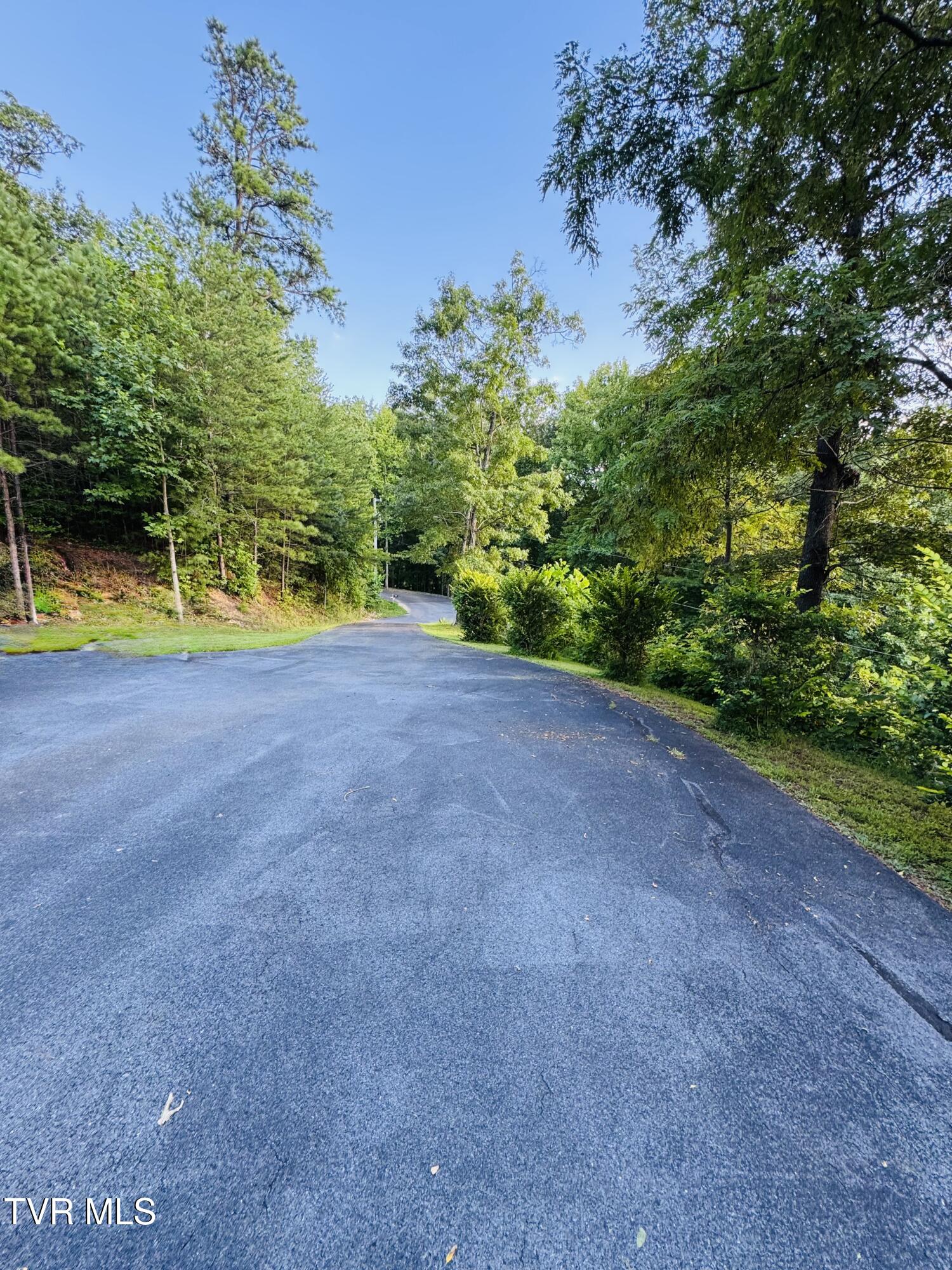 116 Hasty Boulevard Erwin, TN 37650 - Photo 43 of 45 IMG_5069