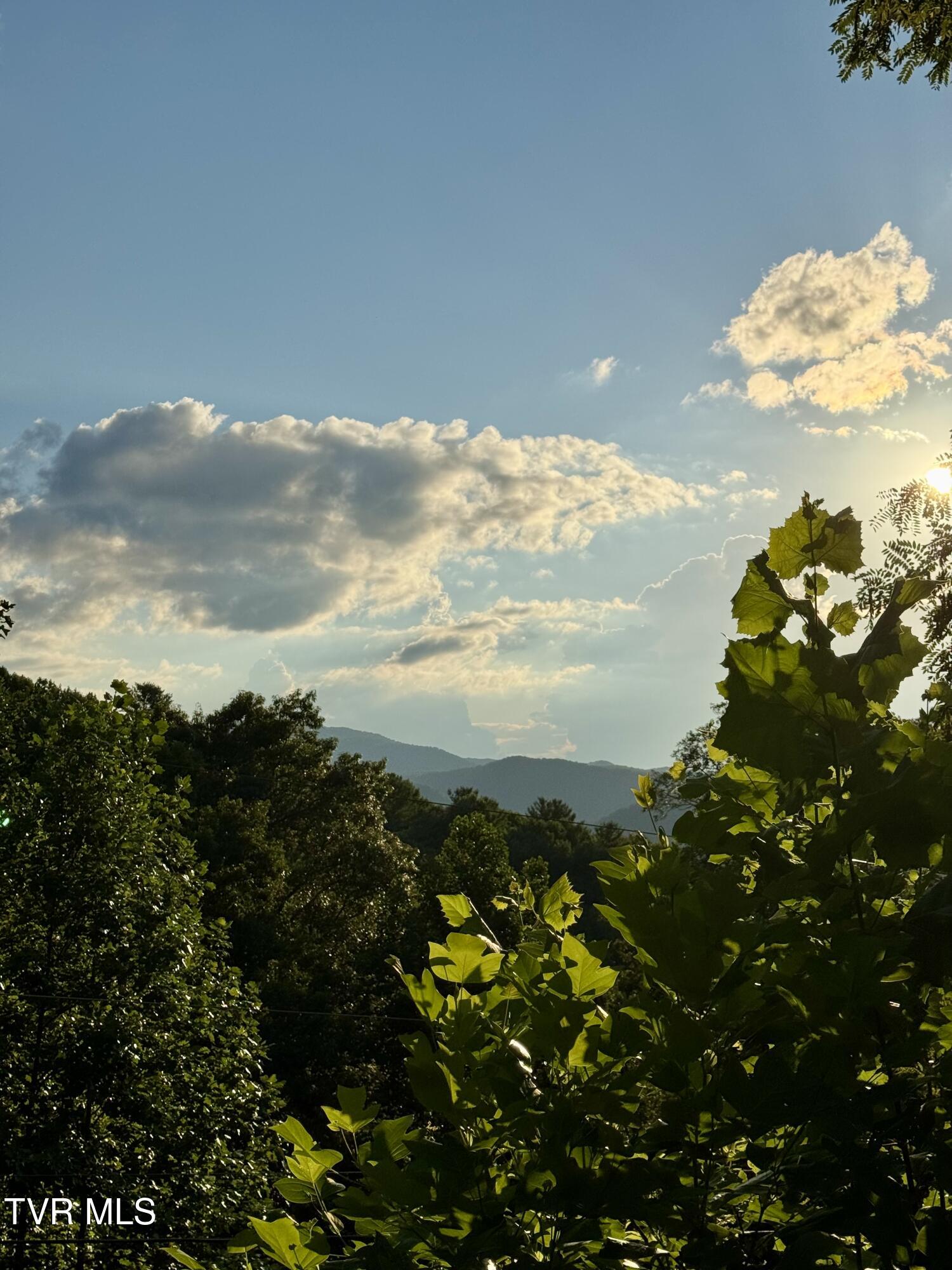 116 Hasty Boulevard Erwin, TN 37650 - Photo 44 of 45 IMG_5100