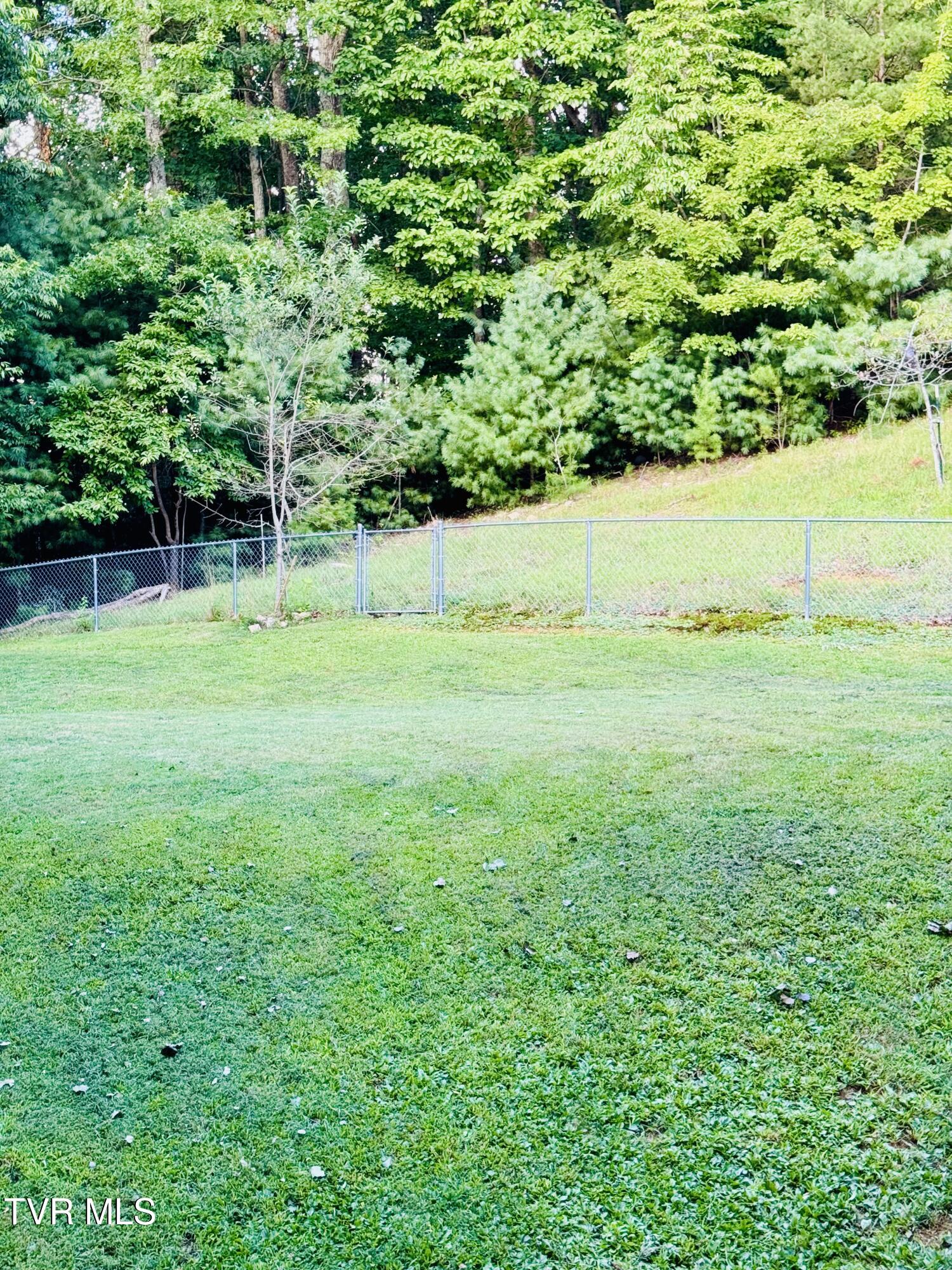 116 Hasty Boulevard Erwin, TN 37650 - Photo 8 of 45 IMG_5073